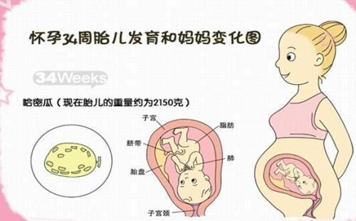 怀孕4周的症状有哪些？口味发生变化