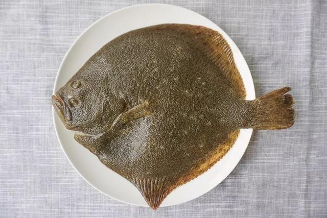 宝宝吃什么鱼好