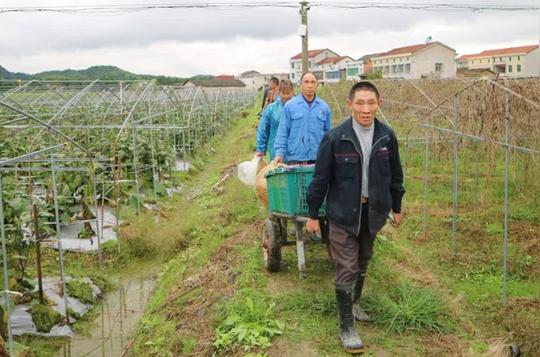 脱贫攻坚我不缺位岳阳县这位老板坚持授人以“渔”