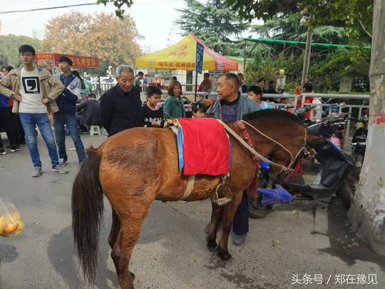 农村大爷骑马进城进公园被拒在门口揽客挣钱