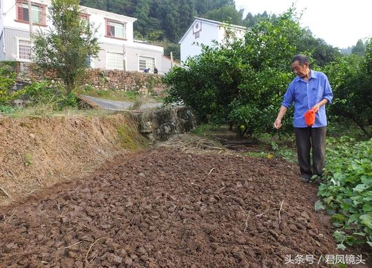 湖北宜昌：农民章爷爷地头种菜，累了，锄头当板凳，坐着歇歇！