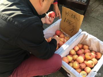 长沙市摆摊卖苹果怎么样