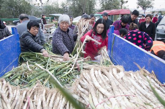 大葱大甩卖，市民疯抢，却有人偷偷将葱拿走不给钱