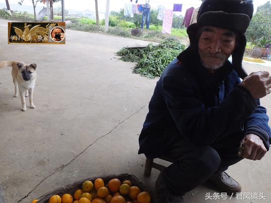 红薯：市场零售价1-1.5元，农民喊难赚钱，市民喊买不起！为何？