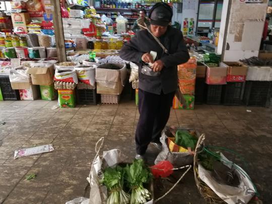 农村留守老人靠种菜卖菜赚钱，小白菜烂便宜一块钱一斤