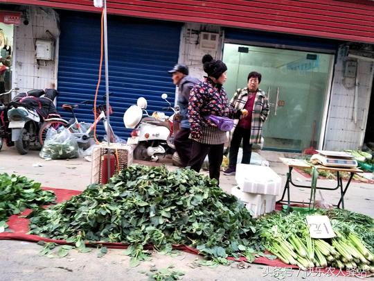 10张冬天路边摆摊图，小贩：白菜价，再便宜就赔钱了