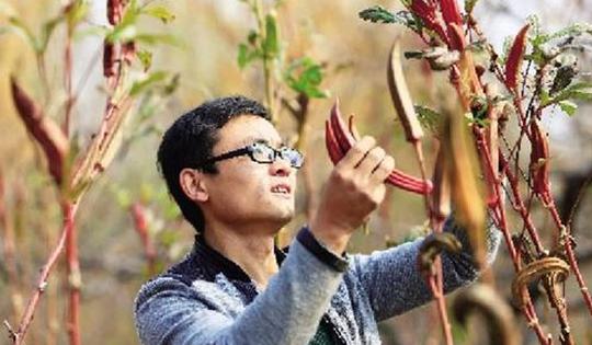 80后夫妻双双把家还，网上卖野菜种年赚30万！