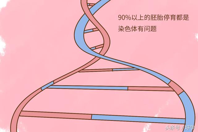 孕前如何减少染色体异常几率