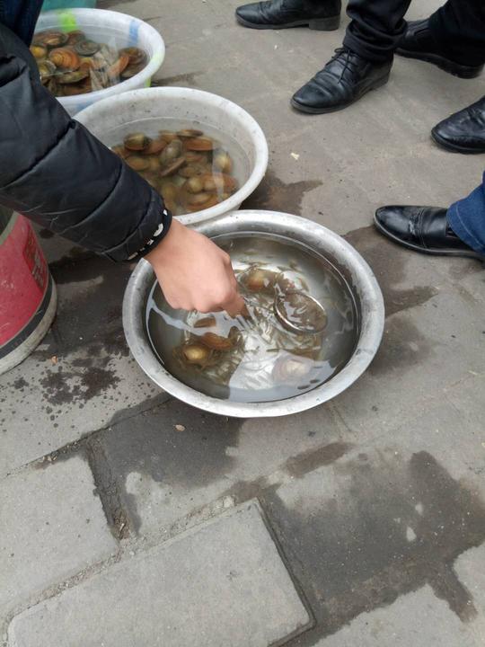 小伙子创业卖河蚌，小县城第一家流动摊位，嘴甜生意火