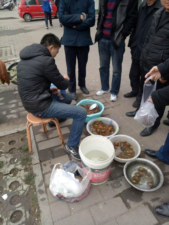 小伙子创业卖河蚌，小县城第一家流动摊位，嘴甜生意火