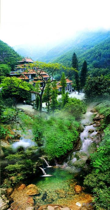 佛山市有哪些森林公园