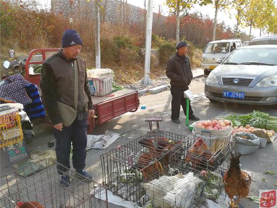 北方农村大集，农民不敢插手的火爆买卖网友：地域差异