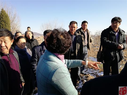 农业老黑马！六旬老汉砸1588万种樱桃，要带村民致富