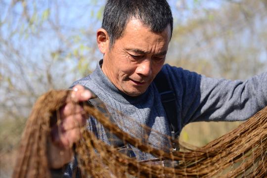 脱下绿军装当上”鸭司令”一个退伍老兵回乡创业的传奇故事