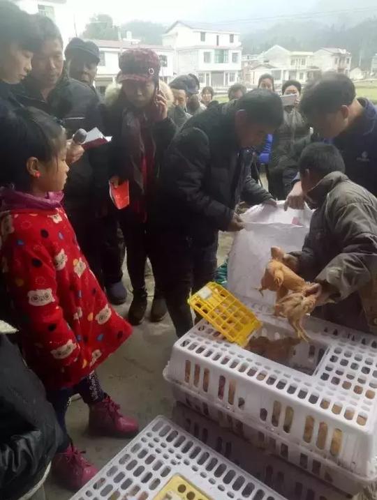 海南媳妇远嫁益阳，跟丈夫回家创业年收入100多万