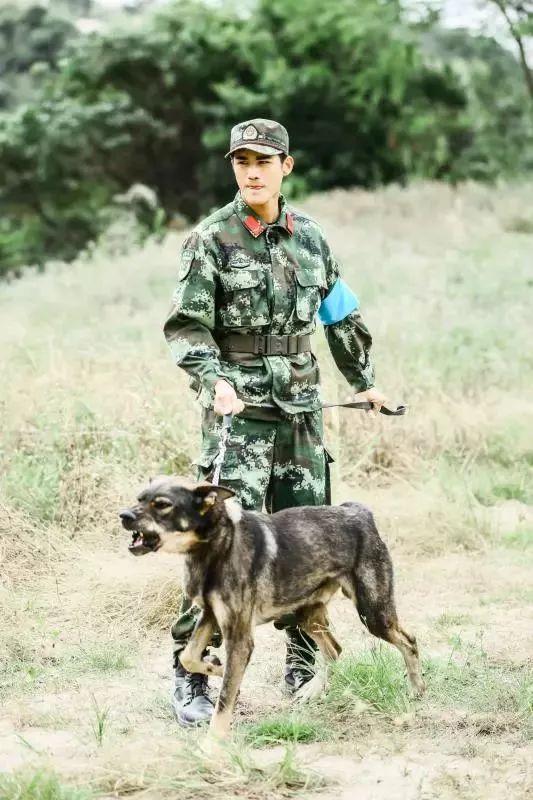 军旅+警犬、70个机位、500t素材量，《奇兵神犬》是如何攻克制作难题的？