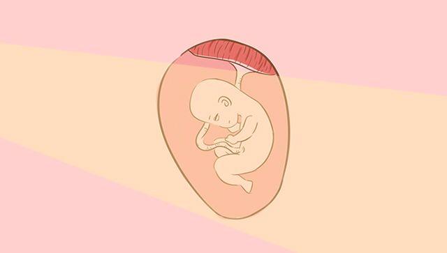 孕期体重说，孕期如何科学“孕”动