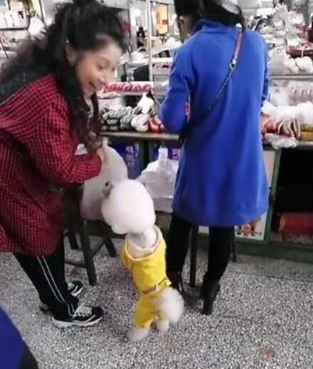 卖东西的阿姨被泰迪缠住了，阿姨：你这样做生意，老板不会骂吗？
