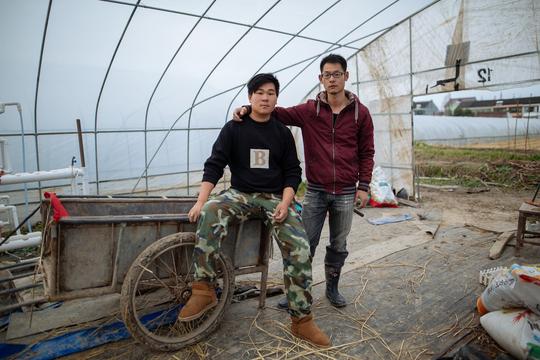 农村大学生毕业后回乡种地，要情怀也要面包