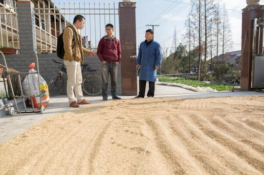 农村大学生毕业后回乡种地，要情怀也要面包