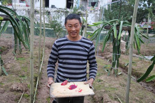 患难夫妻落魄时睡桥洞捡苹果创业后建果园为照顾病妻损失20万