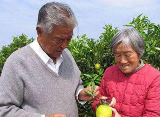 褚时健74岁二次创业，今90岁终于退休了，褚橙产业传给儿子