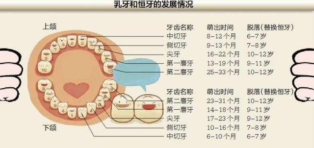 孩子换牙时候怎么检查孩子牙齿健康