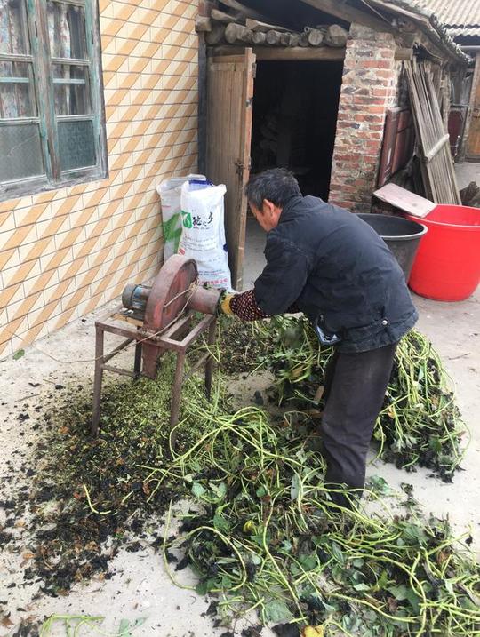 谁说养猪赚钱，现在农村都在倒贴！农民哭了以后再也不养了！