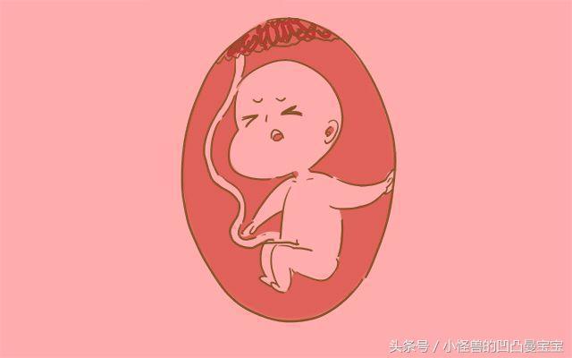 胎儿在肚子里会做些什么