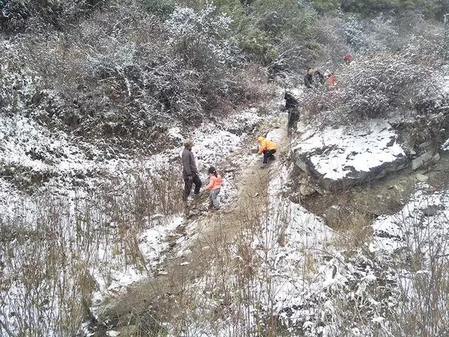 成都市民街头卖雪是真的吗