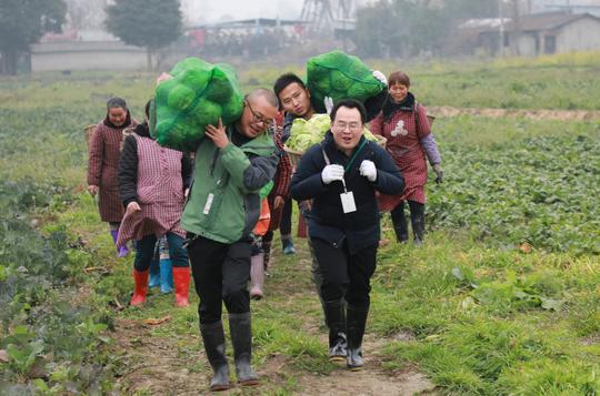 图片故事｜暖冬计划之崇州支行：抢收蔬菜与菜农共渡难关