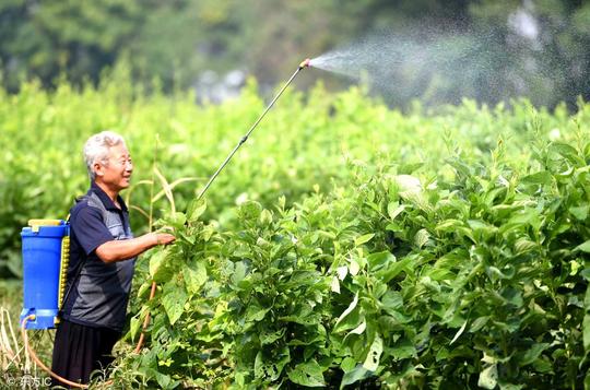唐山职业农民在农村兴起，但是农业光懂技术不懂互联网和电商不行