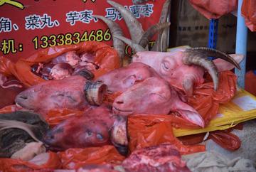 厦门市鲜羊肉哪里买的