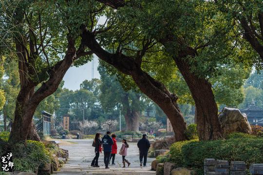 上海村民集资3000万兴建古典园林，如今却乏人问津，略显萧条