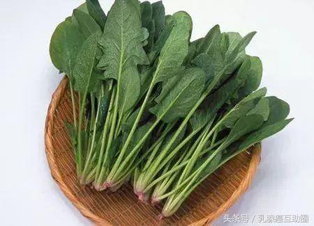 春雷响万物长，惊蛰养生看这一篇足够了
