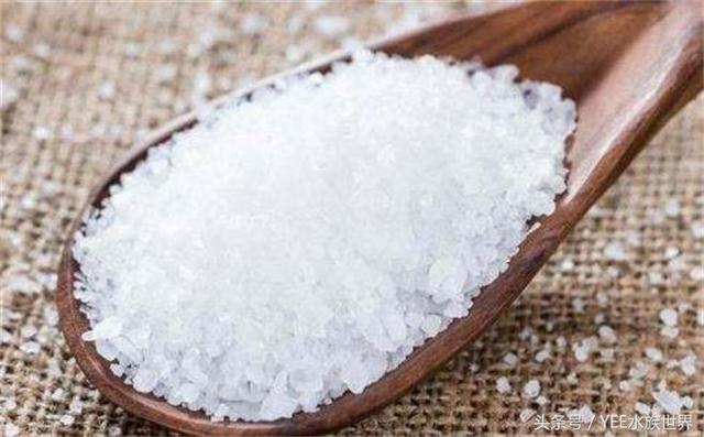 能不用药就不用 能不用药就不用