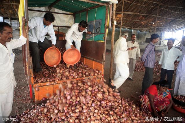 短期避孕药要注意什么 短期避孕药要注意什么
