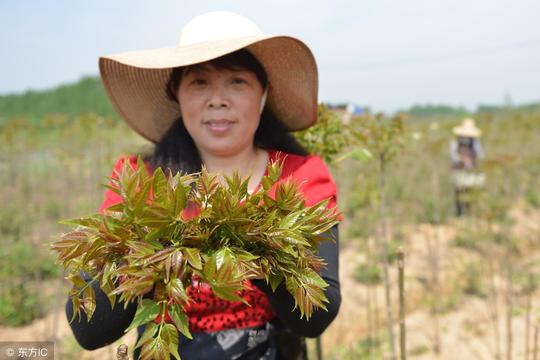 农村赶集：分享4个不用脑子就能做的小生意，90后青年日赚1400元