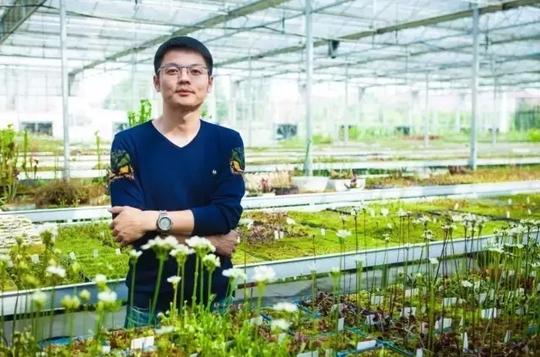 另类电商生意：把植物卖成宠物，把最冷门的做成爆款