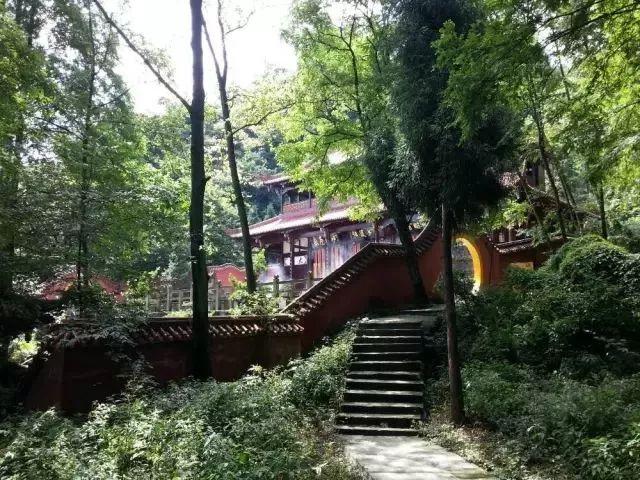 春季宝宝祛“湿”吃什么