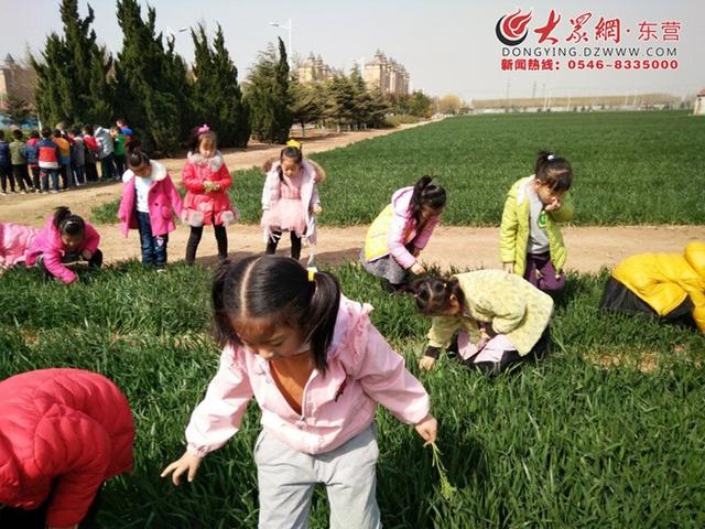 春天适合和孩子一起玩的户外活动