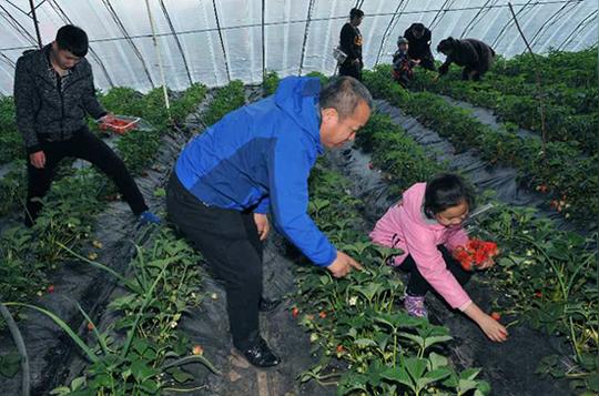 三胜高效产业园把握果蔬采摘利润抢抓农民创业商机