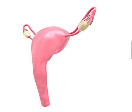 月经过多是如何引起的 月经过多是如何引起的