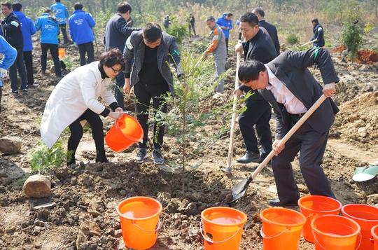 浙江珍贵树要新种1亿株亩产值可达42万！大家可以申领，这是个致富新机会吗？