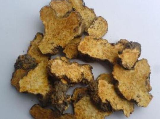 茅苍术，一种冷门的香料，作为佐料的它其实是一位‘民间高手’