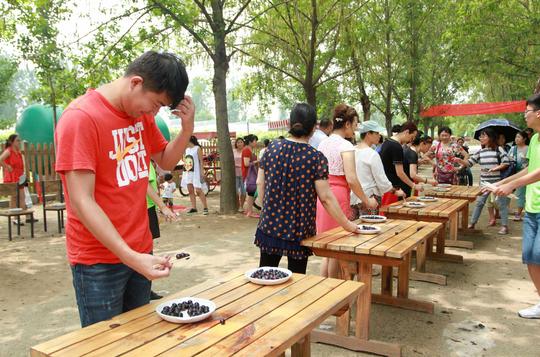 2016郑州葡萄节吃葡萄pk赛小年轻完胜大妈