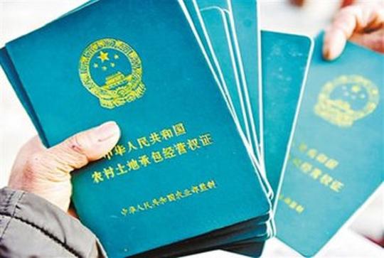 都是农民看人家咋流转赚钱，农村全国三层土地已流转