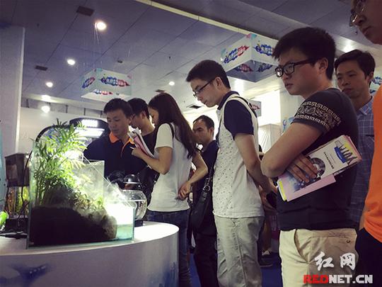长沙市首届创业博览会举行全面展示创业生态