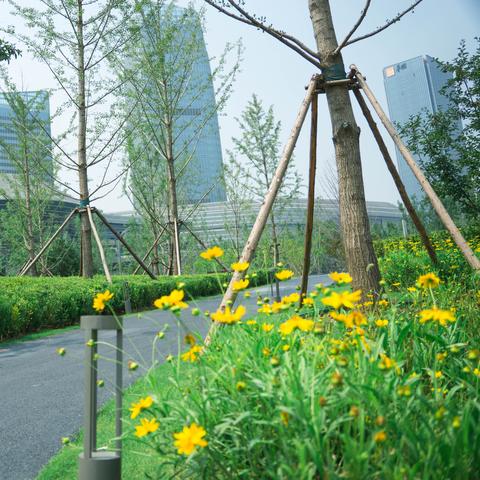 西安市75中学校怎么样呢