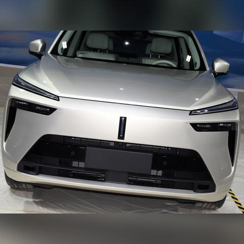 广州市宠物狗牌多少钱